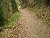 P4031060.JPG