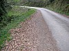 P4041073.JPG