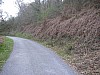 P4041085.JPG