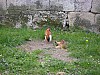 P4041104.JPG