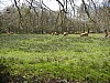 P4041105.JPG