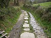 P4041111.JPG