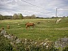 P4041118.JPG
