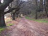 P4051134.JPG