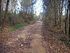 P4051135.JPG