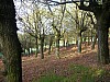 P4051136.JPG