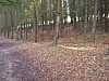 P4051137.JPG