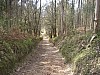 P4051145.JPG