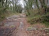 P4051146.JPG