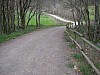 P4061159.JPG