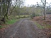 P4061169.JPG