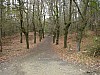 P4061170.JPG