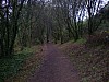 P4071185.JPG