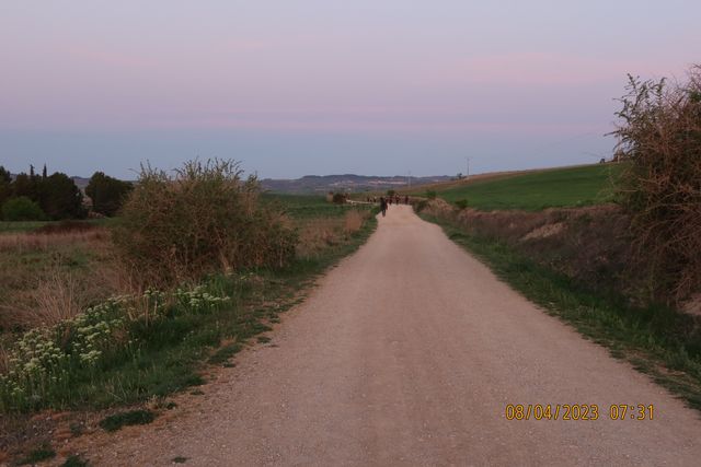 107.JPG