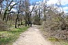 041.JPG