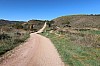 080.JPG