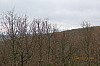 160.JPG