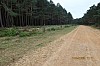 169.JPG
